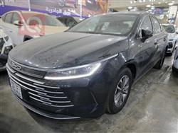 BYD Destroyer 05